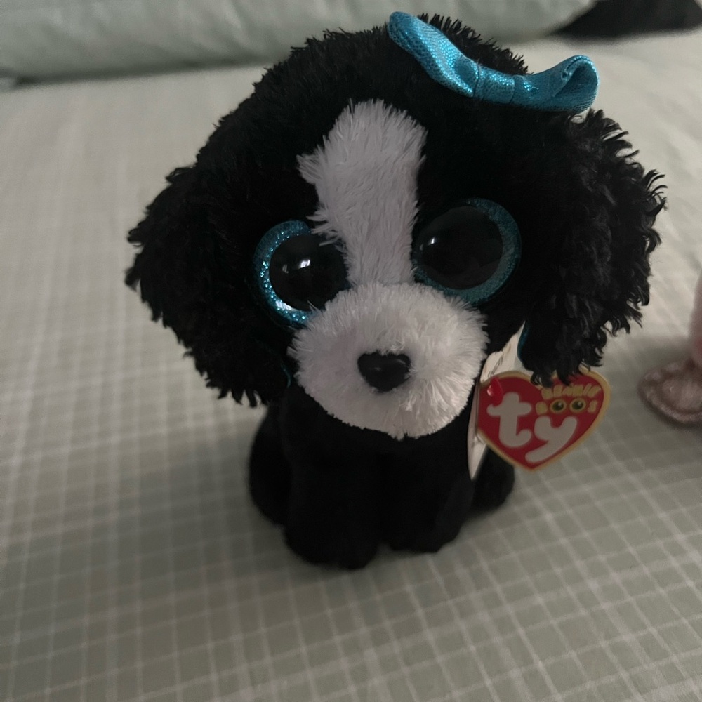Ty Beanie Boo Black and White Dog with Teal Bow - Tracey born day Dec 7th